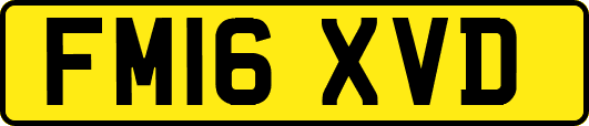 FM16XVD