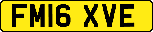FM16XVE