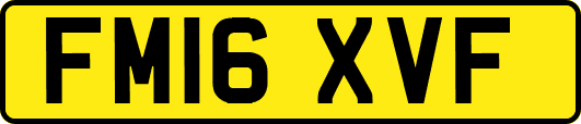 FM16XVF