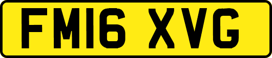 FM16XVG