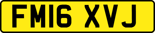 FM16XVJ