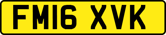 FM16XVK