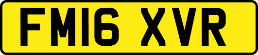 FM16XVR