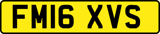 FM16XVS