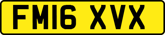 FM16XVX