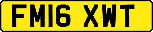 FM16XWT