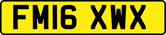FM16XWX