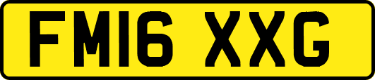 FM16XXG
