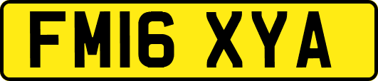 FM16XYA