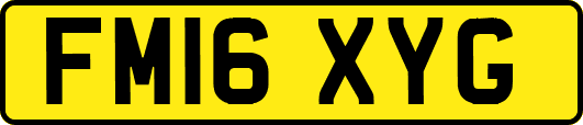 FM16XYG