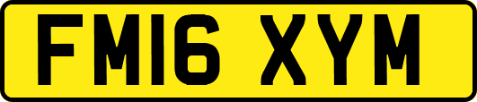 FM16XYM