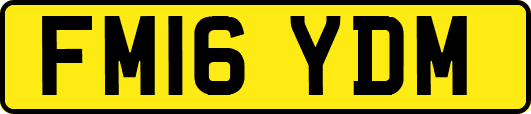 FM16YDM
