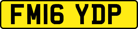 FM16YDP