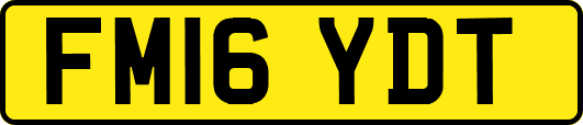 FM16YDT