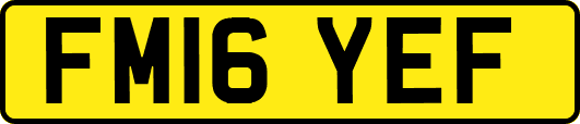 FM16YEF