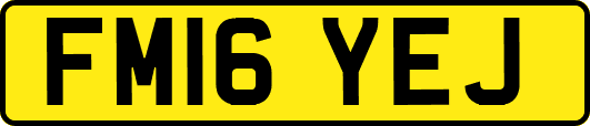 FM16YEJ