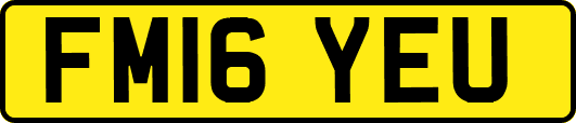 FM16YEU