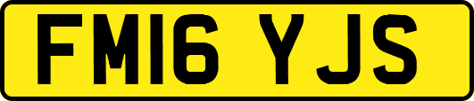 FM16YJS