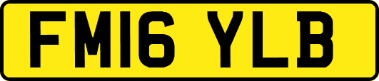FM16YLB
