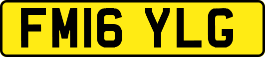 FM16YLG
