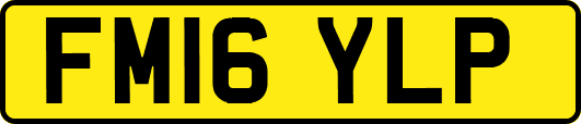 FM16YLP
