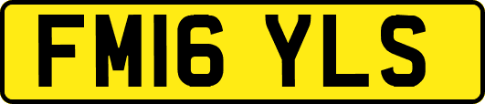 FM16YLS