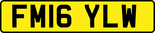 FM16YLW