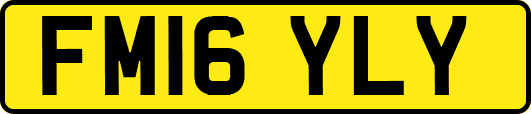 FM16YLY