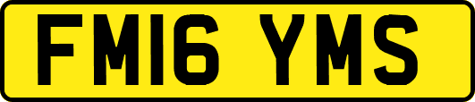 FM16YMS