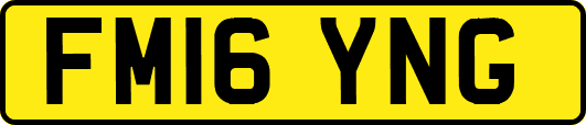 FM16YNG