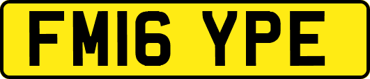 FM16YPE