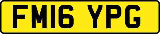 FM16YPG