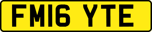 FM16YTE
