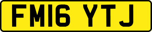 FM16YTJ
