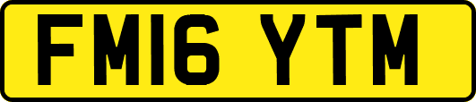FM16YTM