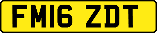 FM16ZDT