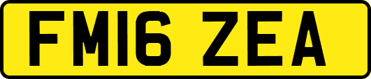 FM16ZEA