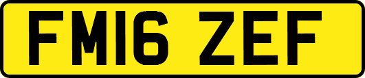 FM16ZEF