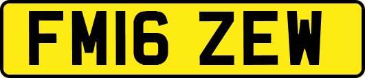 FM16ZEW