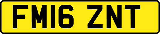FM16ZNT