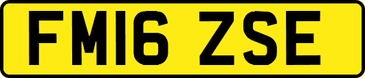 FM16ZSE