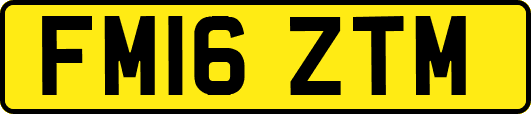 FM16ZTM