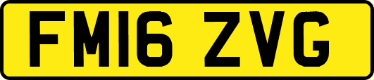 FM16ZVG