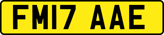 FM17AAE