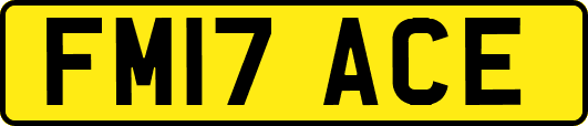 FM17ACE