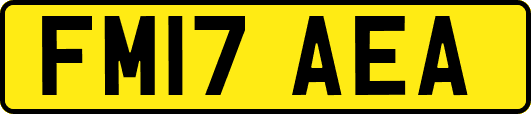 FM17AEA