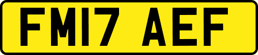 FM17AEF