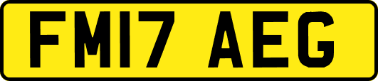 FM17AEG