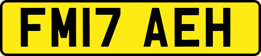 FM17AEH