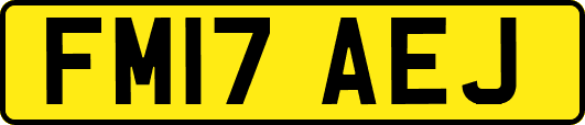 FM17AEJ